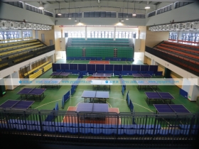 广东省深圳市——深圳大学附中体育馆
