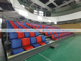 广东省——深圳市大浪实验学校体育馆