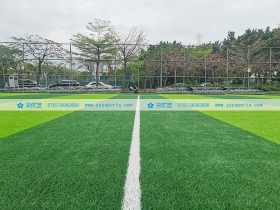广东省深圳市——新桥市民广场体育公园