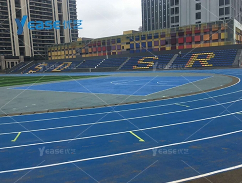 湖南省师范大学附属树仁学校体育中心